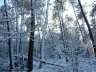 henon360_neige (115).JPG - 